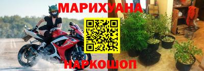 каннабис Дубна