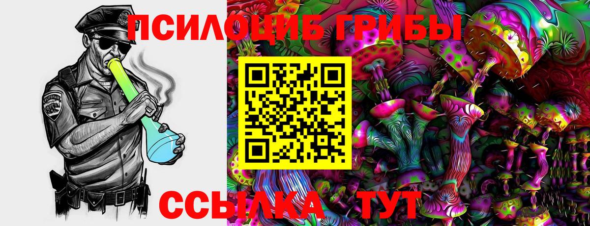 Галлюциногенные грибы Cubensis Горячий Ключ